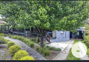 Canberra Resort:Pool, Spa, Sauna & Alfresco Dining - Image 3