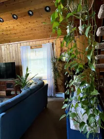 Peaceful 2 Bedroom Retreat - Image 3