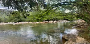 Beautiful cabin with direct and private access to the RIVER - Image 5