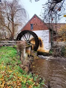 Vacation home De Luysmolen - Image 2