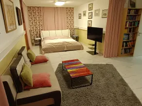 Modern, Large, good located, sleep4 - Image 2