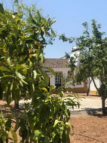 Monte Papa Toucinho - Image 3