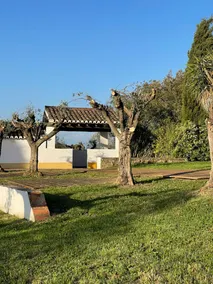 Monte Papa Toucinho - Image 2