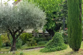 Alba Morus Apartment in farmhouse on the ground floor - Image 3