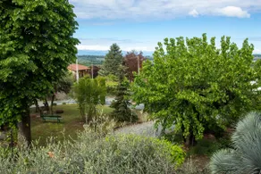Alba Morus Apartment in farmhouse on the ground floor - Image 2