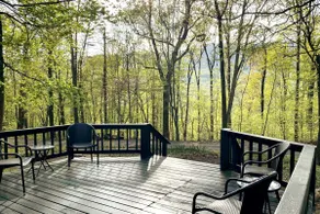 Everlong ~ Pet-friendly Retreat on 2 Wooded Acres - Image 2