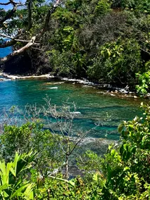 El Paraiso - Image 2