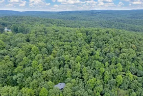 Secluded Forest Cabin w/New Hot Tub - Image 4