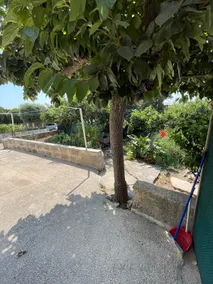 Detached house with garden - Image 2