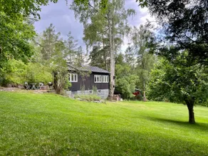 Close to nature and commuter boats - Image 2