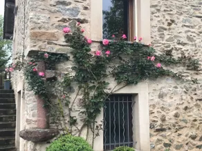 Country house - Image 5