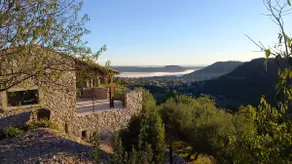 The Garden of Olives - Image 5
