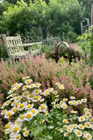 1800s Farmhouse | Sanctuary Trails | Pickleball - Image 3