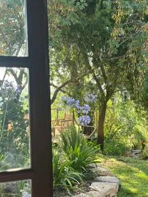 Flor de pita - Image 4