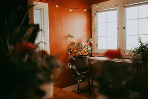 Tiny Downtown Jungle - Image 3