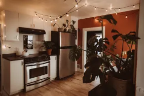 Tiny Downtown Jungle - Image 5