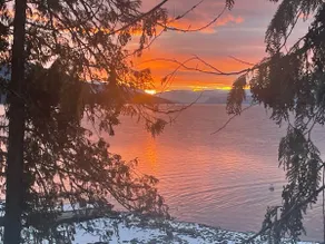 Lake Front Paradise! - Image 4