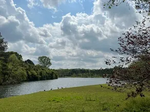 Beautiful and Serene 7BR Oasis with Private Pond - Image 2