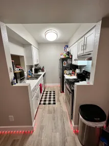*Glendale Aesthetic Apartment* - Image 4