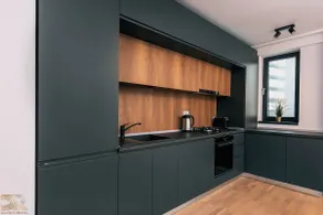 David's Rental / Apartment 4 - Image 3