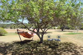 Rural Getaway, Dog Friendly, 3 Acres, Breakfast - Image 3