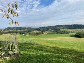 Living in the countryside - Image 4