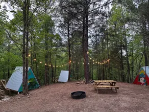 G-4 Glamp in Bohamia - 268 acre forest retreat - Image 4