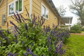Das Enchanted Cottage - Image 5