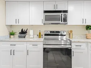 Delightful Family Home in New Tampa - Image 4