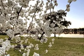 My Country House - Image 2