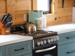 Woodland Muskoka Tiny House - Image 3