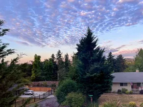 Top of the World - Apartment near PDX w/ AC - Image 5