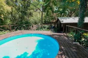 Forest Cabin - El Bamboo Events - Image 5