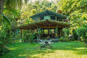 An immersive experience in the Osa rainforest - Image 4