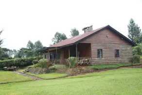 Tranquil 3-Br Country House - Image 4