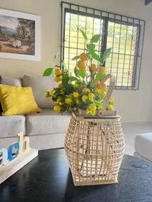 LA CASA DE MAMA LUZ - Image 2