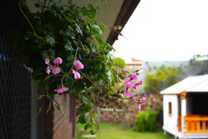 Charming 3 BR House in Brisbane - Image 4