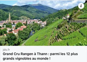 Le Nid douillet de Thann, pros et familles - Image 5