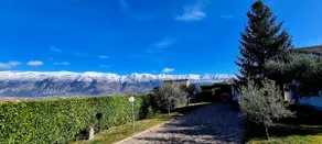 Green Paradise - Image 5