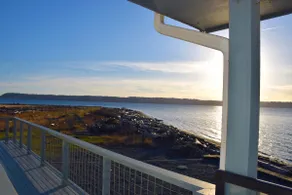 Private beach, steps to ocean, sea life, fab views - Image 5