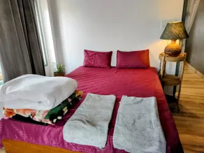 ‘Carebnb’ A Quaint Luxury Homestay | AC | Parking - Image 3