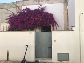 Casa 82 - Image 2