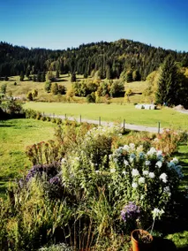 Family vacation in Rehbachhaus - Image 4
