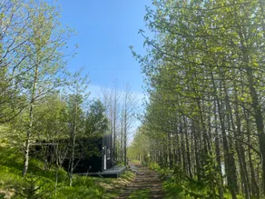 New Private Cabins in a Forest with a River View. - Image 2