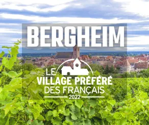 Bergheim Pool - Image 3