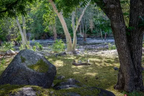 Raven River House - EV Charger and River Front - Image 2