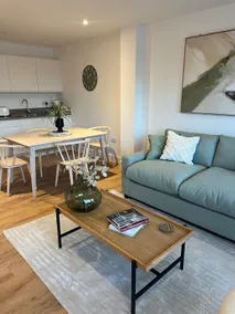 Brand new beautiful apartment @ Mount Wise. - Image 2