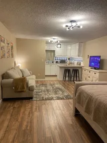 Lake Access / Private Boat Launch Cabin with Game Room! - Image 2