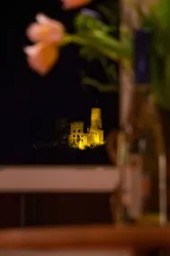 Rooftop: castle view - 85sqm² - l near Heidelberg - Image 3