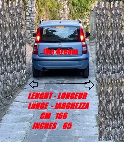 Sorrento Lemons Mystery - Image 3